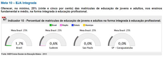 Meta 10 - Indicador 10